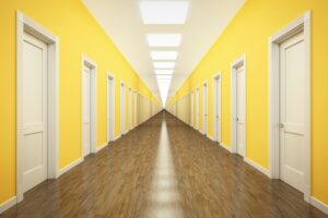 an endless corrior with lots of white doors, due diligence tells you which ones to leave closed