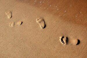 due diligence is sometime like following these footprints in the sand